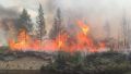 Под Бахчисараем сгорело почти 40 гектаров леса