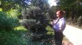 Должный уход растениям в парках Симферополя