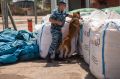 В Севастополе служебные собаки помогают в поисках наркотиков