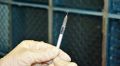Белоруссия первой получит российскую вакцину от COVID-19
