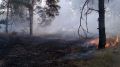 МЧС Республики Крым: на полуострове продолжают фиксировать природные пожары!
