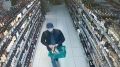 В Ялте участились попытки краж из супермаркетов