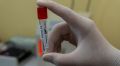 Семь человек заразились коронавирусом в Севастополе