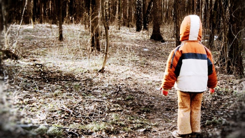 МЧС: Если ребёнок потерялся в лесу