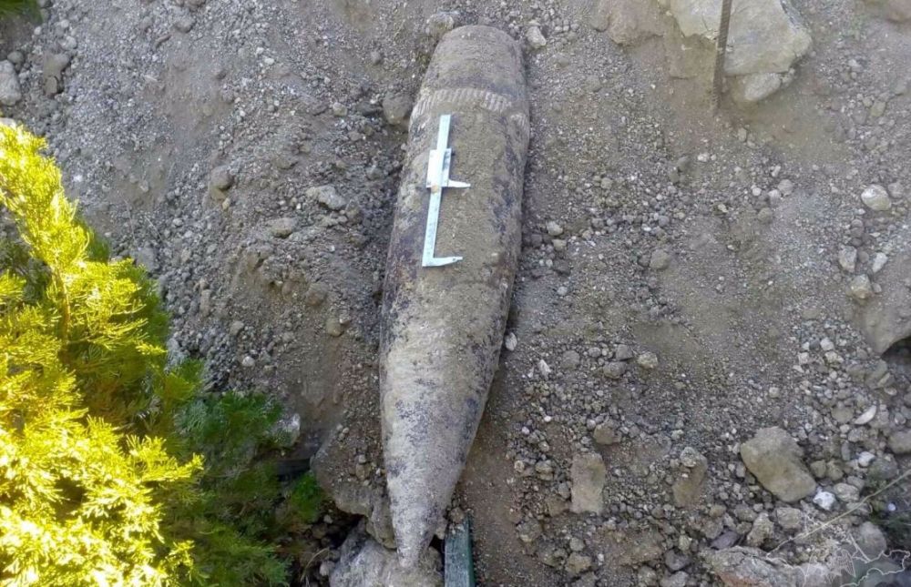В садоводческом хозяйстве в Севастополе найдены боеприпасы