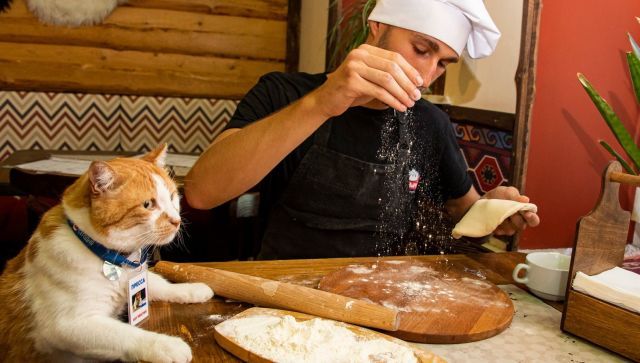 Как приготовить настоящее крымское кубэтэ: 7 секретов от кота Мостика