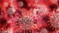 МЧС: не забывайте соблюдать основные правила профилактики распространения новой коронавирусной инфекции