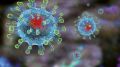 Количество случаев коронавируса в Крыму превысило 6000