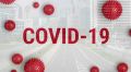 COVID-19     167   