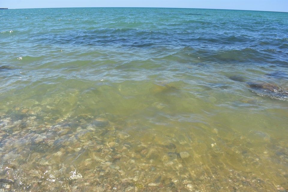 Температура воды в черном в алуште. Феодосия Азовское море. Черное море Феодосия. Азовское море цветет. Черное и Азовское море.