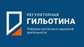 Светлана Лужецкая: «Регуляторная гильотина» позволит значительно снизить административную нагрузку на бизнес»