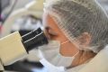 В Крыму за сутки новой коронавирусной инфекцией заразилось 202 человек