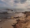 Крымские власти обещают привести в порядок городские пляжи полуострова