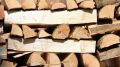 Минприроды Крыма информирует о возможности заготовки гражданами древесины для собственных нужд