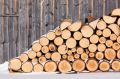 Крымчане могут нарубить дрова для отопления, — Минприроды РК