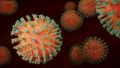 Гриб против коронавируса: ученые нашли новое средство от COVID-19