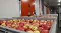 Инвестор вложит 2 млрд рублей в строительство фруктохранилища на 20 тысяч т в Крыму