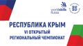     VI      (WorldSkills Russia)