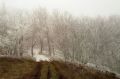 Первый снег выпал в крымских горах