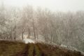 Фотофакт: Первый снег украсил горы Крыма