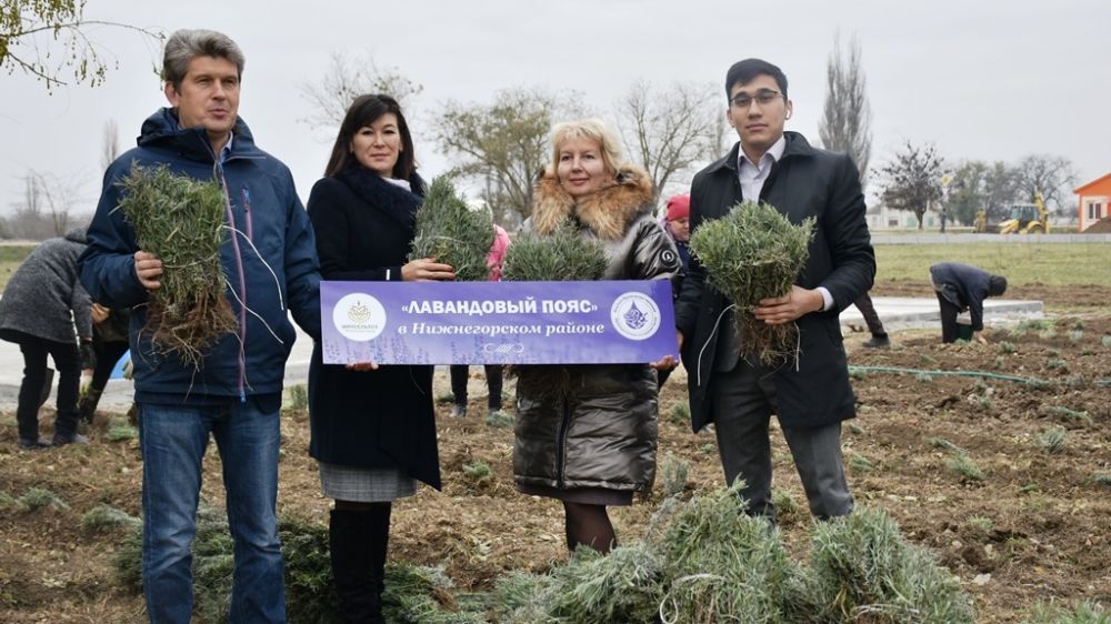 5 тысяч кустов лаванды высажено в Митрофановском сельском поселении Нижнегорского района