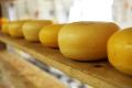 Основатель сыроварни: «Турист готов не только покупать сыр в Крыму, но и увозить его с собой»