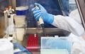 В Крыму выявили 218 случаев коронавируса за сутки