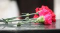 Следователи и поисковики обнаружили в Севастополе захоронения погибших в годы войны граждан