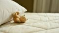 Как кишечник может влиять на качество сна – эксперты