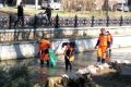 При расчистке русла реки Салгир зафиксировали нарушения на сотни тысяч рублей