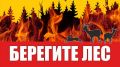 МЧС Республики Крым: Берегите лес от пожара!