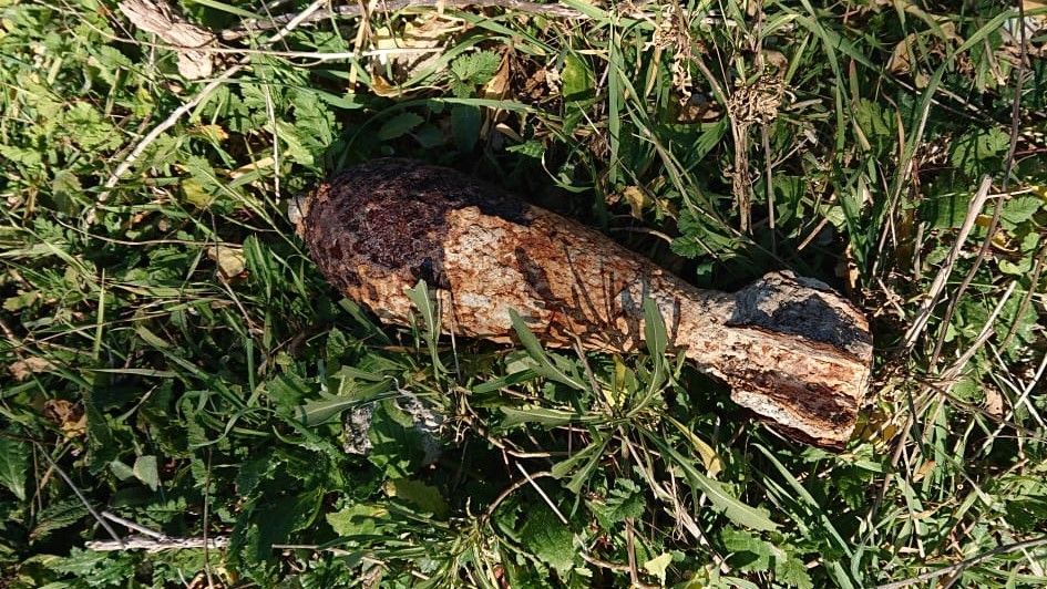 В садовом товариществе под Севастополем обнаружили минометную мину