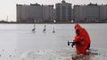 В Крыму спасатели помогли лебедям, замерзавшим на озере Сасык-Сиваш