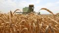 Более 168 млн рублей получили сельхозпредприятия Крыма, пострадавшие от Covid-19 в 2020 году