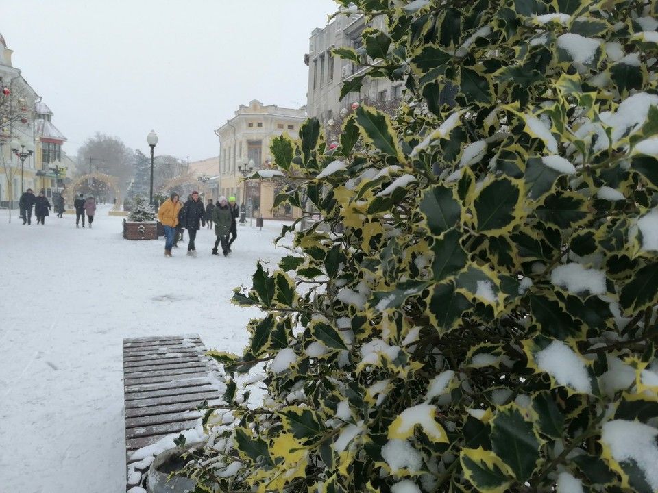 Погода в симферополе крыма на 10 дней. Погода в Симферополе. Погода в Симферополе на сегодня. Погода в Симферополе в январе. Симферополь погода фото.