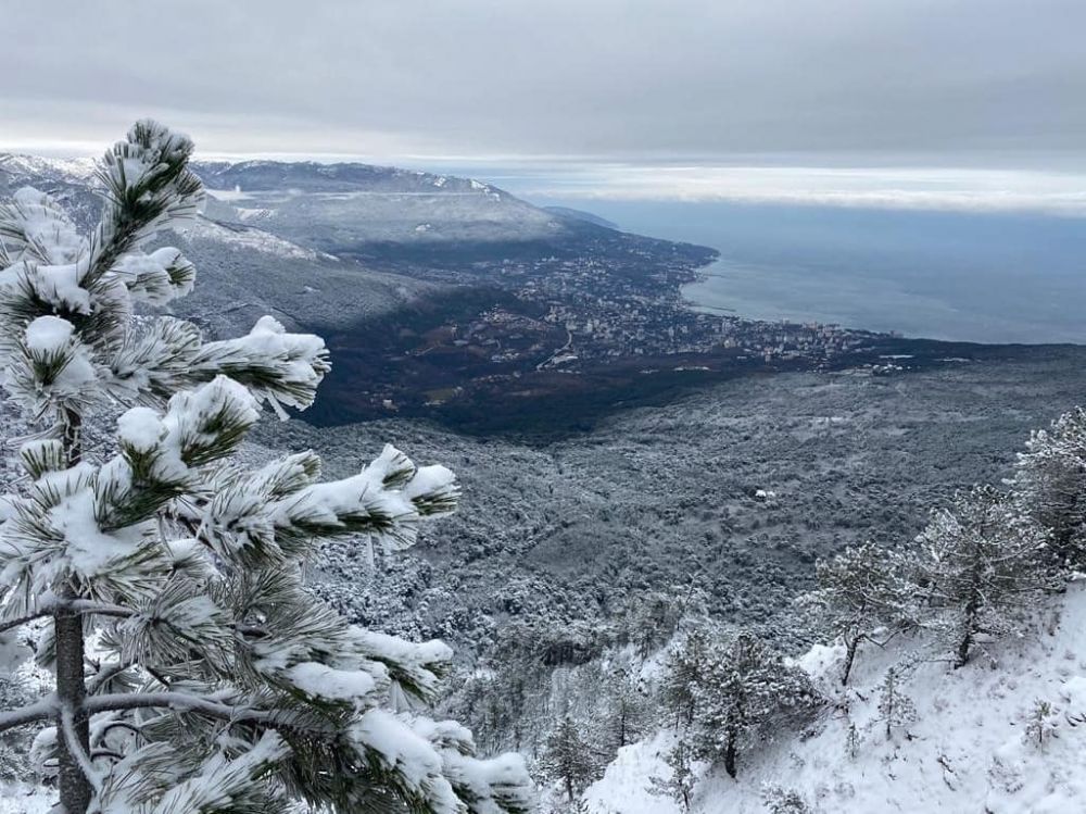 Крым в январе. Светоч Крым в январе. Новый год заповедного Крыма. Крым январь 2021 фото. Крым январь 2022.