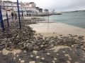 Шторм в Севастополе снова разрушил плитку на пляже Хрустальный
