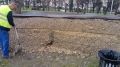 В Севастополе восстанавливают парк имени Марии Байды после нашествия вандалов