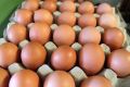 Цены на яйца в Севастополе возьмут под контроль