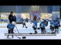 Севастополь присоединился к празднованию Дня зимних видов спорта