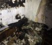 В горящей квартире в Керчи спасатели обнаружили пожилую женщину