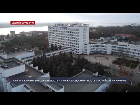 В Севастополе за сутки коронавирусом заболели 82 человека, четверо умерли
