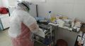 Количество подтвержденных случаев коронавируса в Севастополе превысило 11 тысяч