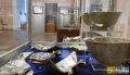 Найти Быка: Центральный музей Тавриды объявил фотоконкурс с головоломками