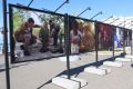 В Севастополе открылась фотовыставка студенческих отрядов