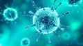 За 17 февраля на территории Республики Крым зарегистрировано 126 случаев коронавирусной инфекции