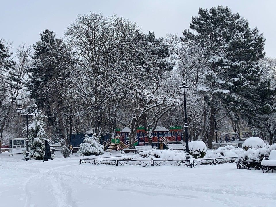 Замерзшие цветы и машины-снеговики: Как выглядит Симферополь после снегопада 19 февраля