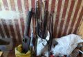 Крымские полицейские обнаружили в частном доме арсенал оружия