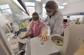 В Крыму за сутки выявлено 109 новых случаев коронавируса