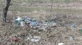 Специалисты ГБУ РК «Красногвардейский районный ВЛПЦ» провели обследования лесополос и несанкционированных свалок мусора в Красногвардейском районе на предмет наличия трупов животных и биологических отходов